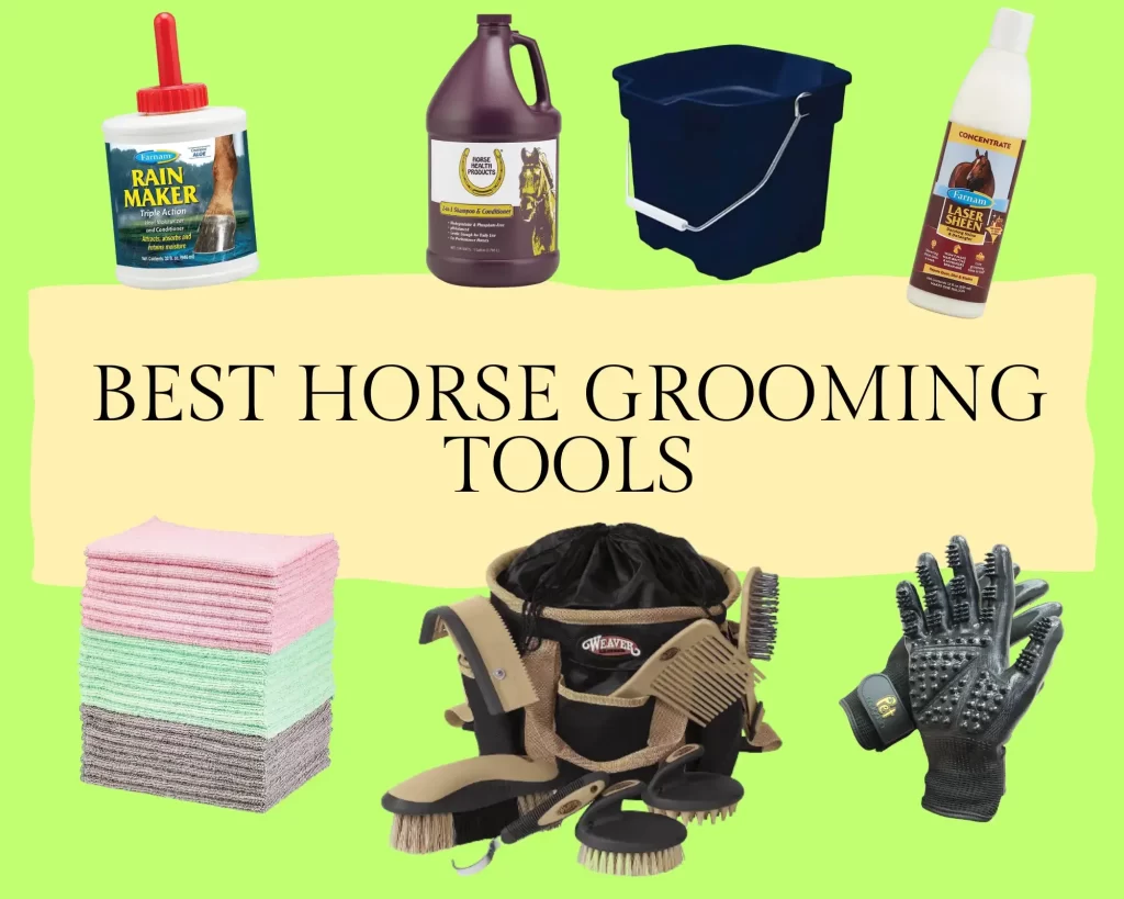 11 Best Horse grooming tools for Every Euqistain Owner