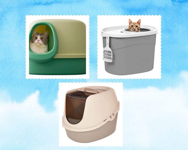 Best Cat Litter Box  for Indoor Cats 2024