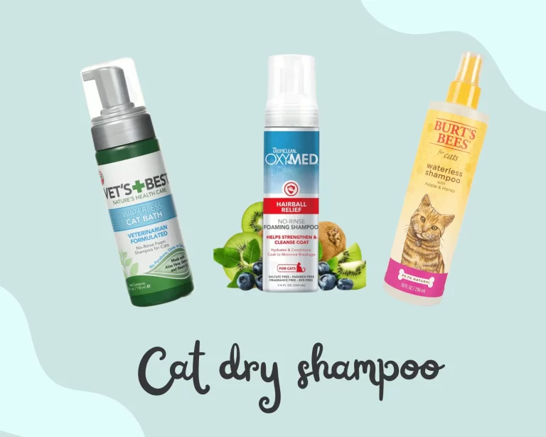 5 Best Waterless Cat Shampoo of 2024