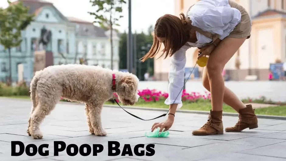 The 9 Best Dog Poop Bags of 2023, Tested and Reviewed by Audience