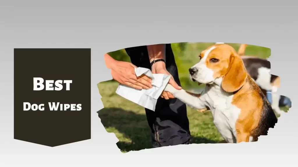 12 Best Dog Wipes