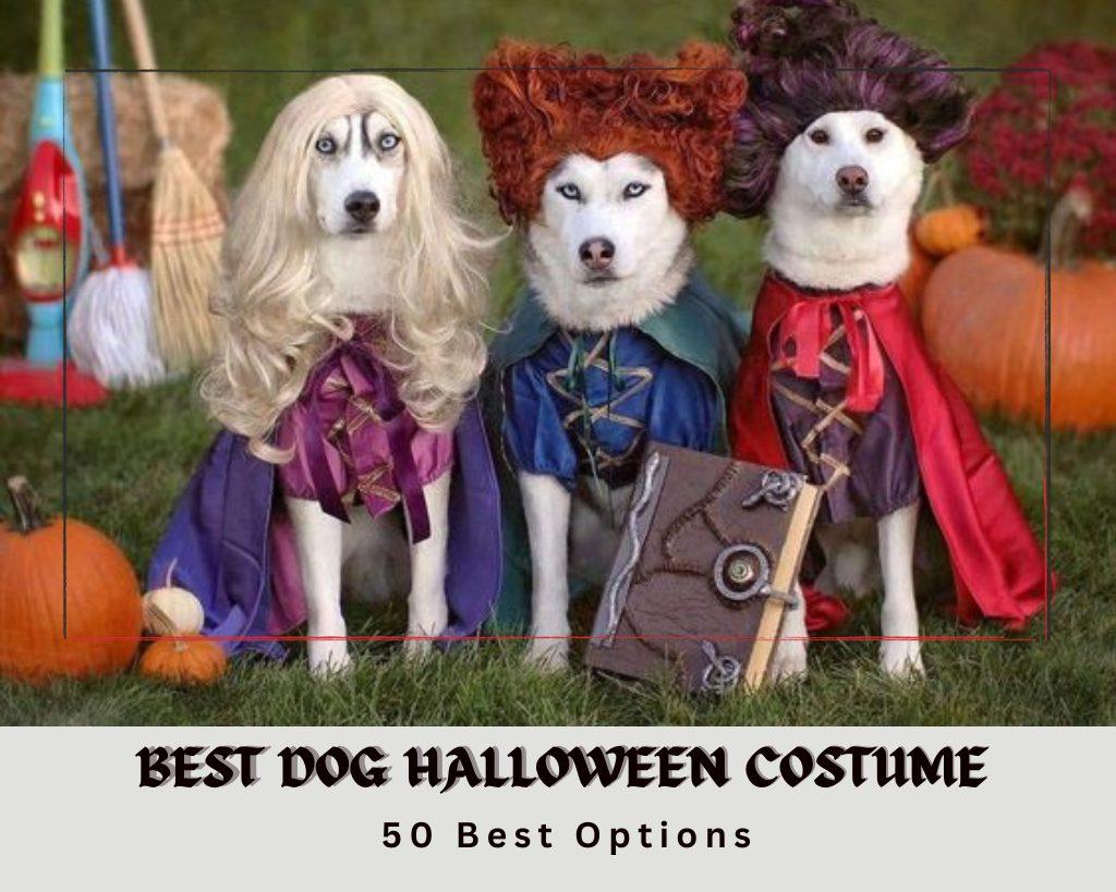Top 50 Best Halloween Dog Costumes to Make Your Playful Pup Shine in Style!
