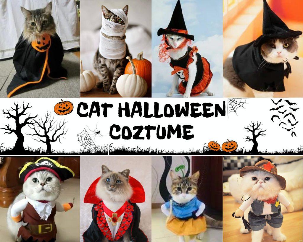 50 Top Trending best Halloween Costumes for cat (That easy to wear!)