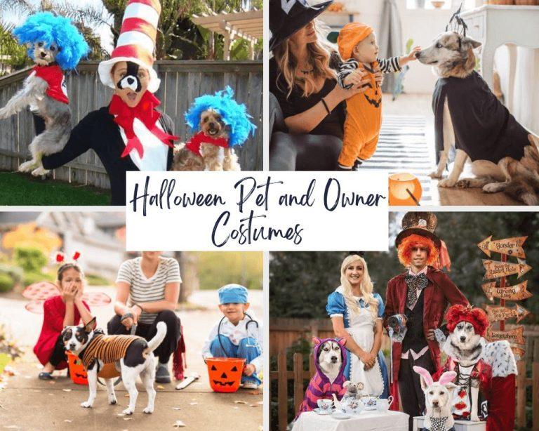 Best Dog and Owner Halloween Costumes for 2024