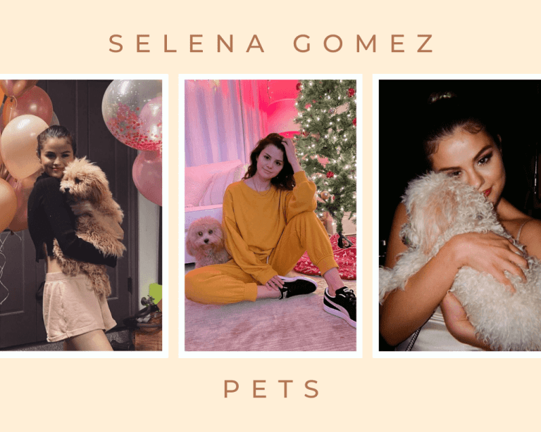 Meet Selena Gomez’s All Pets, Daisy,Winnie, Baylor and charlie! (Adorable Instagram Pictures)