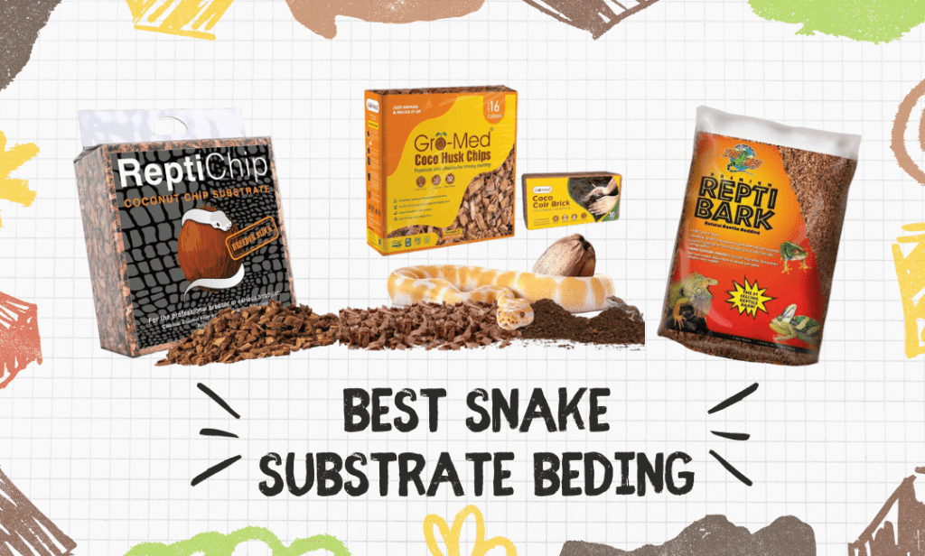 Best Snake substrate and Bedding