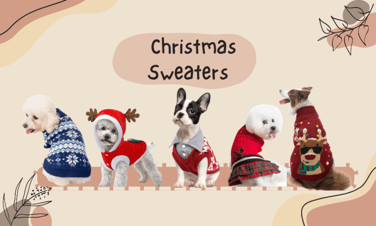 Best Adorable Christmas Sweaters for You and Your Pup in 2024