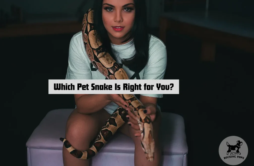 Which-Pet-Snake-Is-Right-for-YouA-Guide-to-Making-the-Best-Choice
